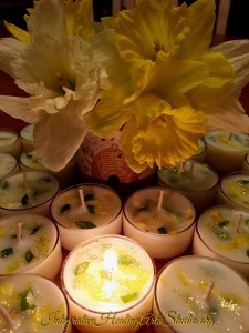 New Enchanted Tea Lights in the Healing Boutique, Daffodil for Rebirth and New Beginnings