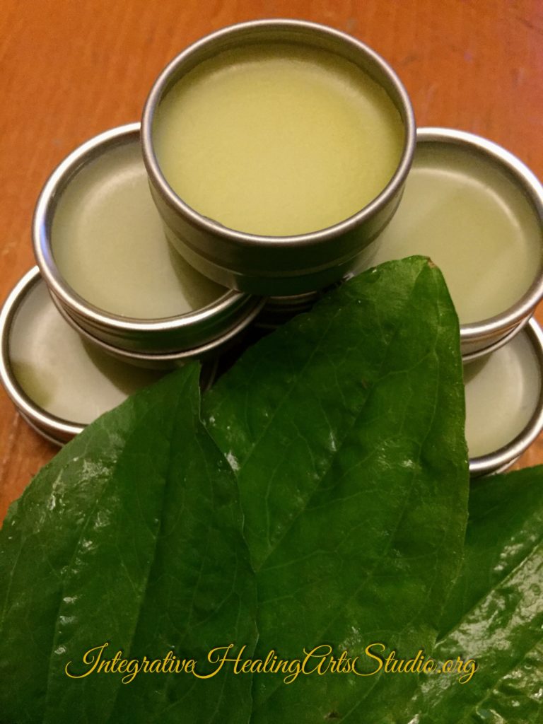 plantain, herbal salve, plantain ointment, bug bite remedy