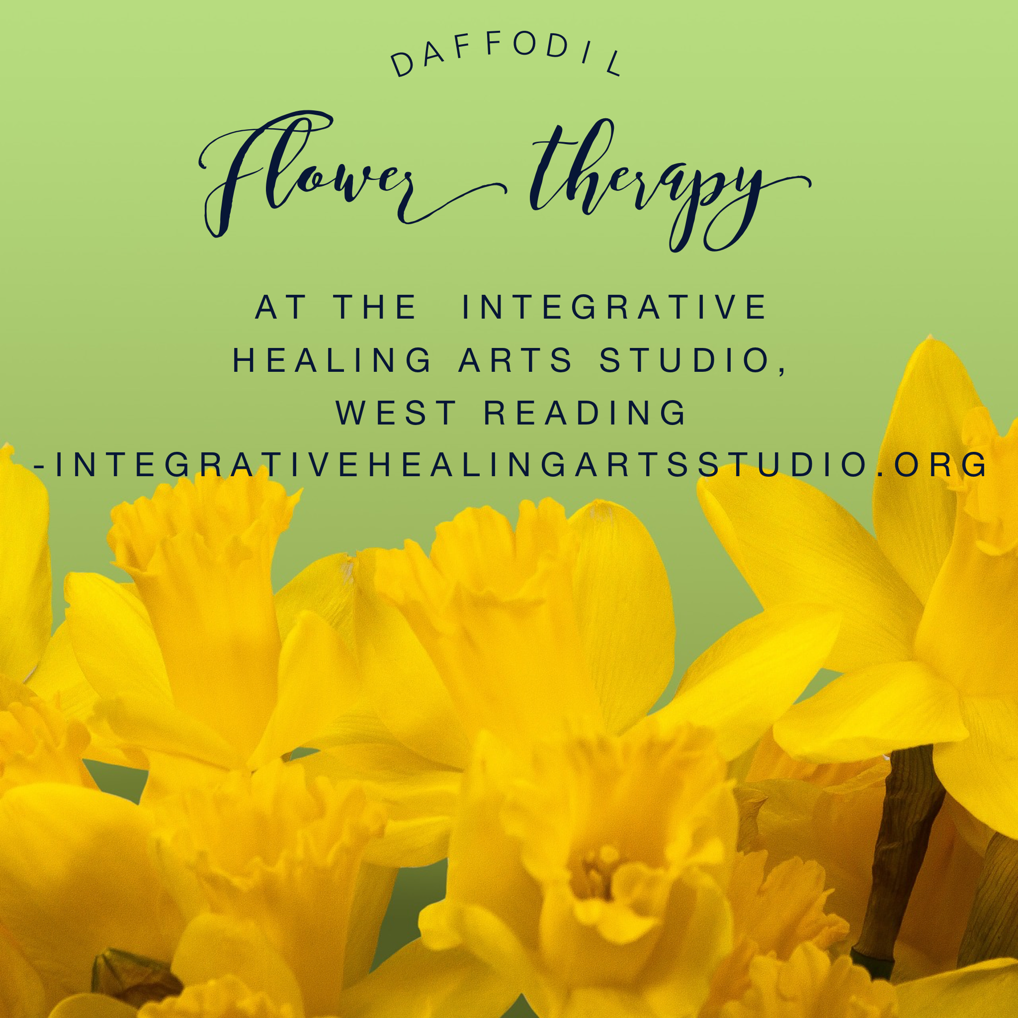 Flower Therapy Daffodil Integrative Healing Arts Studio, West Reading