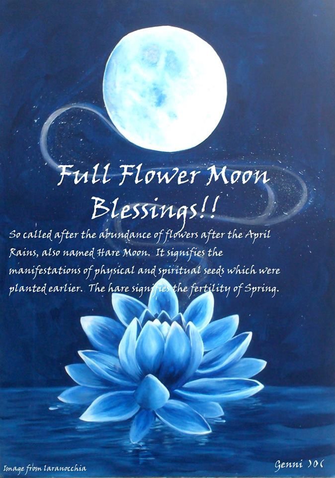May Full Flower Moon Meditation