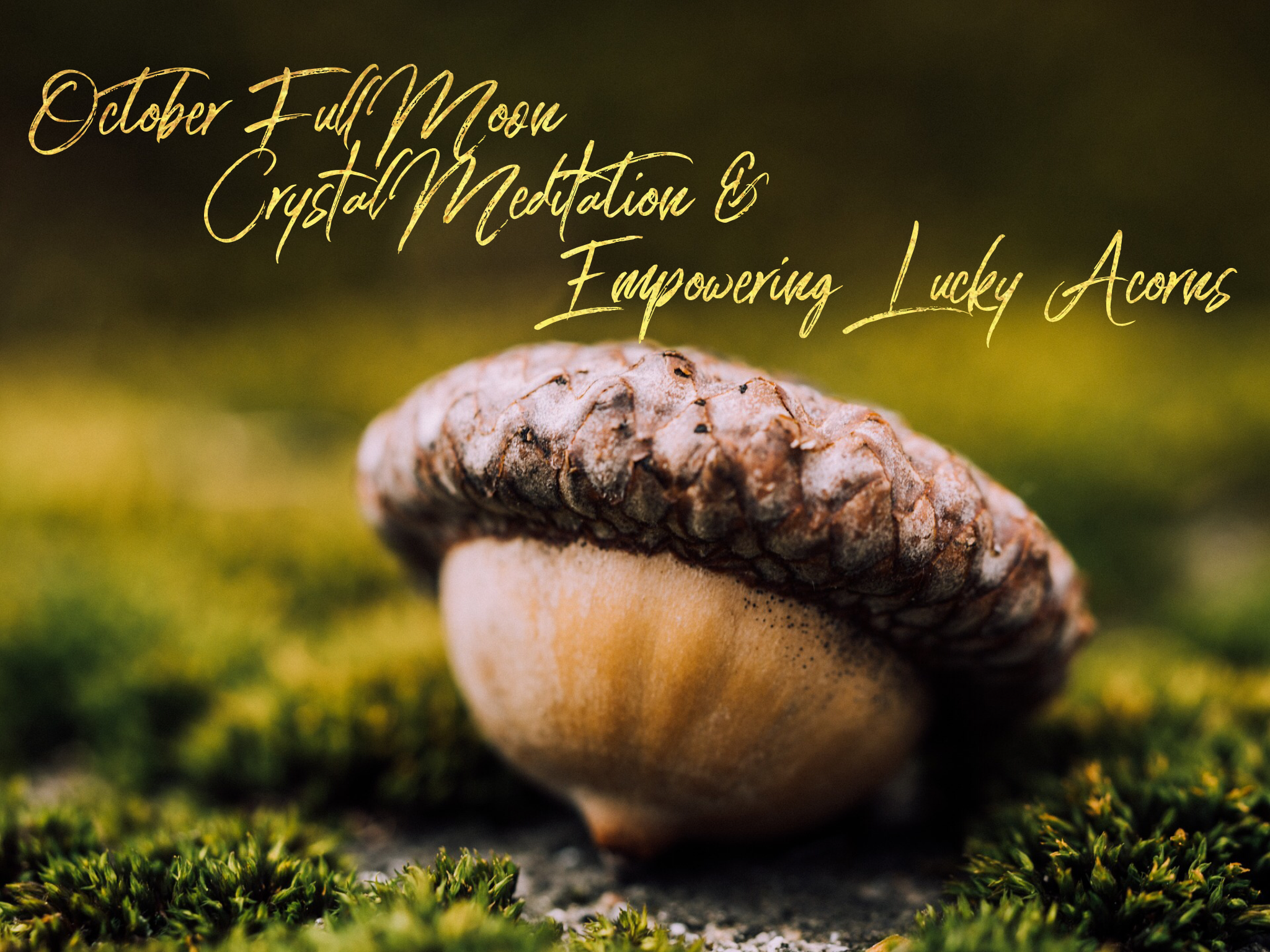 lucky acorn, passing the acorn, full moon meditation, full moon