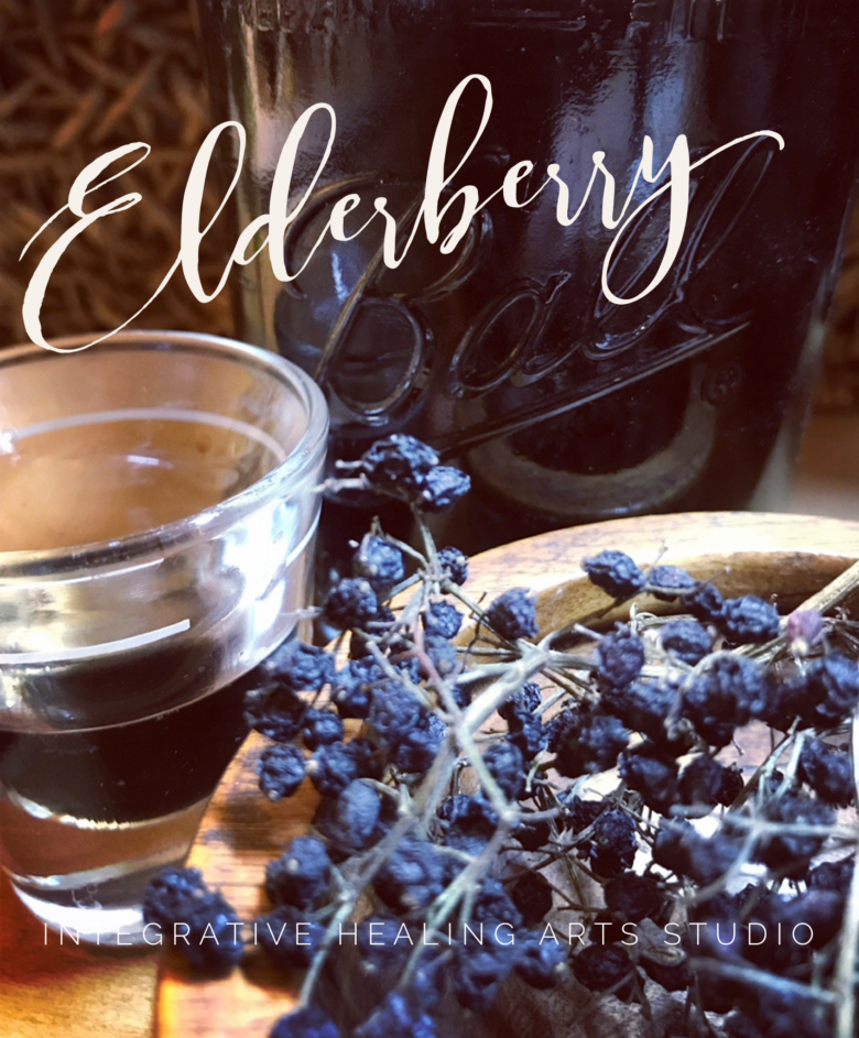 Elderberry Lore from Traditional Uses to Modern Medicine